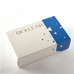 BIOFIT HD POSTERIOR MINI ASSORTED KIT - 25EA MOLAR SIZE