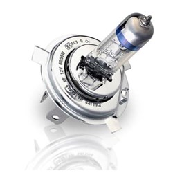 HALOGEN BULB FOR BEYOND PROFESSIONAL