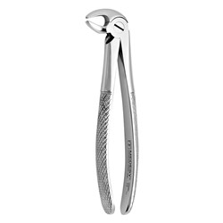 FORCEPS EXTRACTION 13 ENGLISH PATTERN LOW PREMOLARS UNI