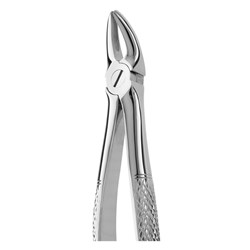 FORCEPS EXTRACTION 136 ENG PT UP ANTERIORS/ PREMOLARS/ ROOT
