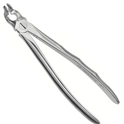 FORCEPS EXTRACTION 139 UPPER ROOTS