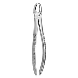 FORCEPS EXTRACTION 17 ENGLISH PATTERN UPPER MOLARS RIGHT