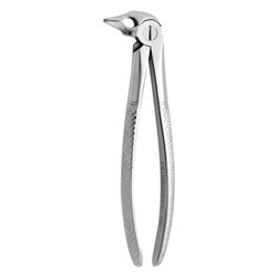 FORCEPS EXTRACTION 185  LOWER ROOTS