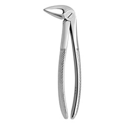 FORCEPS EXTRACTION 33L LOWER ROOTS