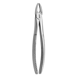 FORCEPS EXTRACTION 37 PEDO ENGLISH PATTERN UPPER INCISORS