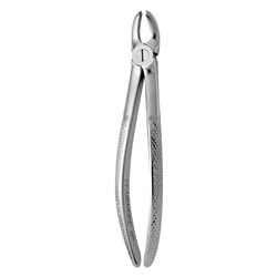 FORCEPS EXTRACTION 39A PEDO ENGLISH PATTERN UP MOLARS