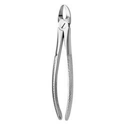 FORCEPS EXTRACTION 55 ENG PATTERN SEPARATING UP MOLARS