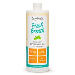 FRESH BREATH FRESHMINT MOUTHWASH 473ML