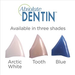 ABSOLUTE DENTIN CORE COMPOSITE - TOOTH SHADE