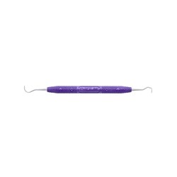 H5-33 ANTERIOR SCALER