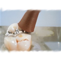 BROWNIE POINTS CA CUP