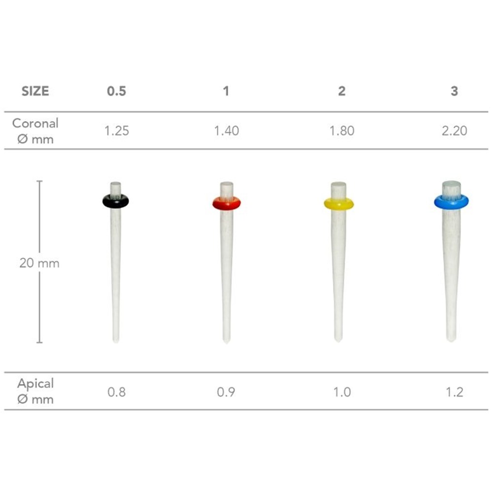 D.T. LIGHT-POST Size 0.5 Endo Post 10 Pk